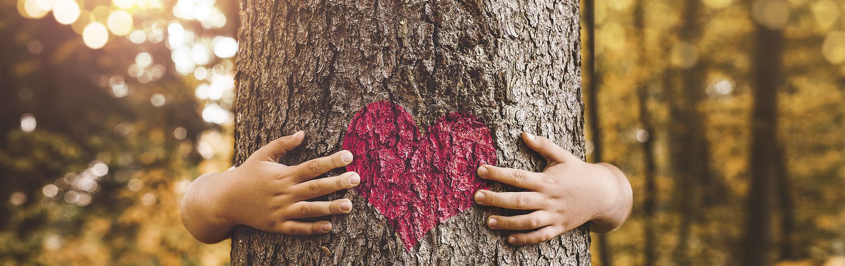 Heimatliche Brotgrüße mit dem Urgeschmack der Fermentation