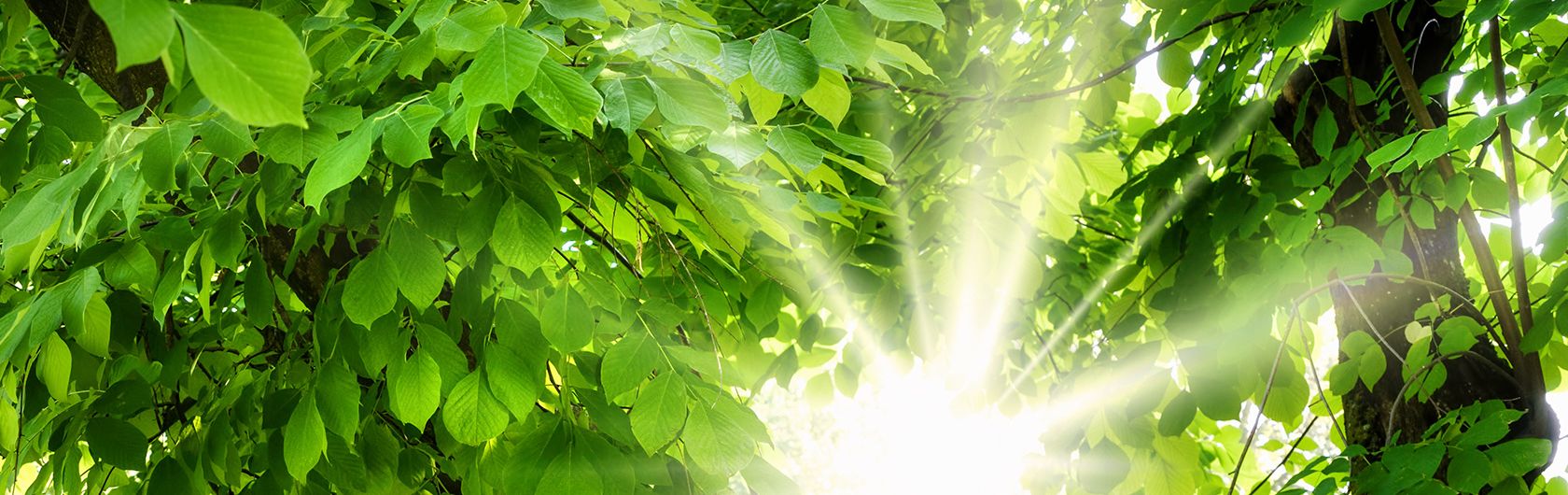 Sustainability is close to our hearts