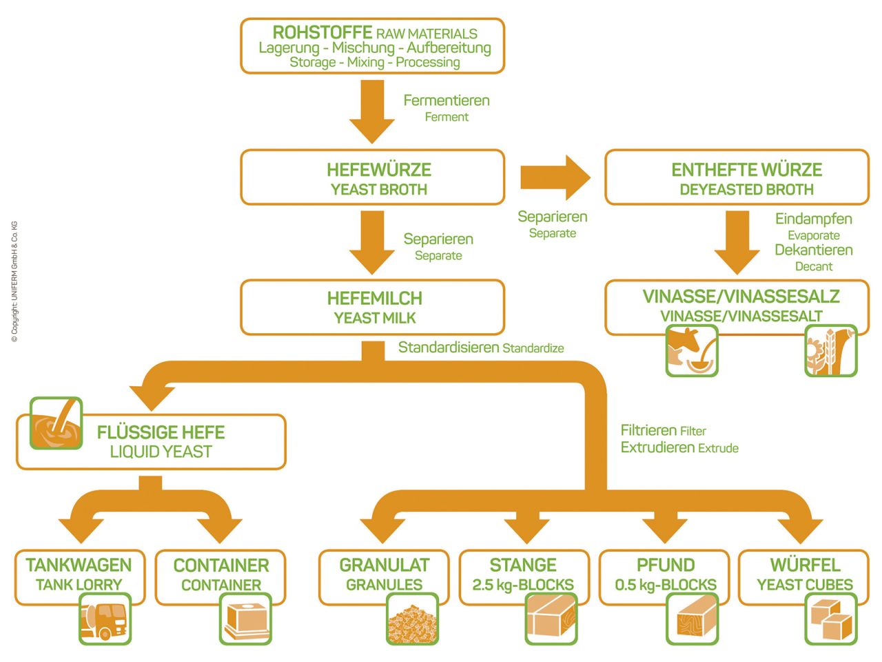 Production and application of UNIFERM baker's yeast