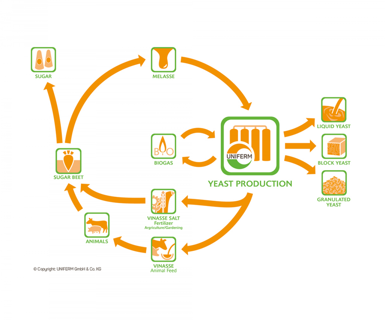 Sound production processes fo baker's yeast at UNIFERM  based on the considerate use of resources.